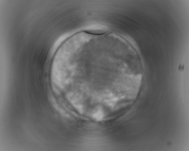 X0000113941104200910161909