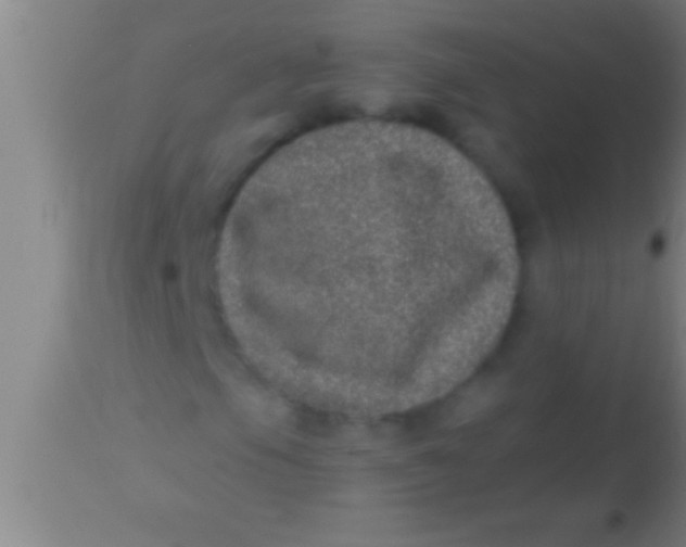 X0000113941105200910161908