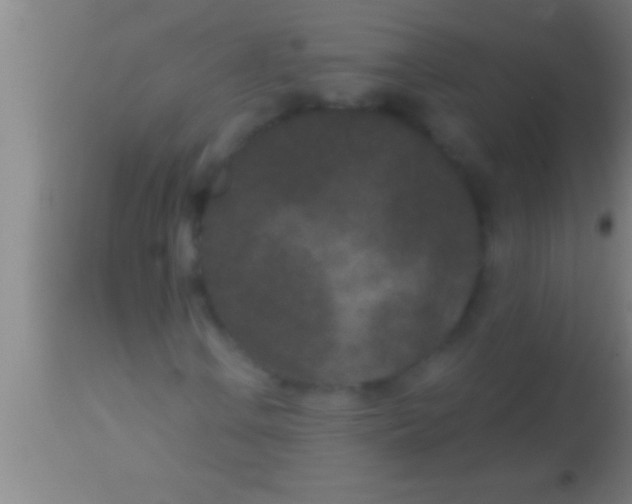 X0000113941106200910161908