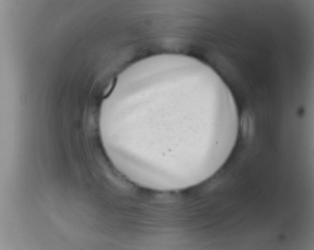 X0000113941107200910161908
