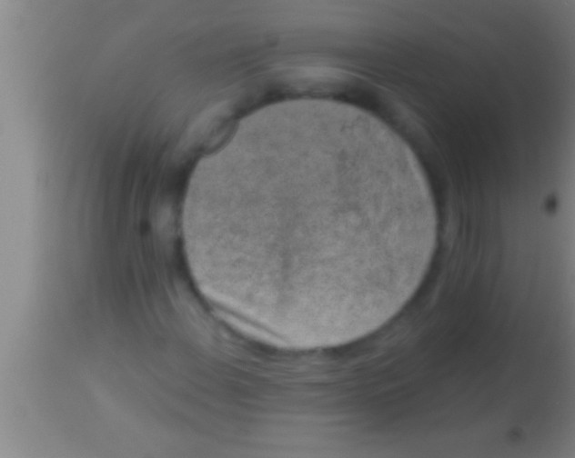 X0000113941108200910161908