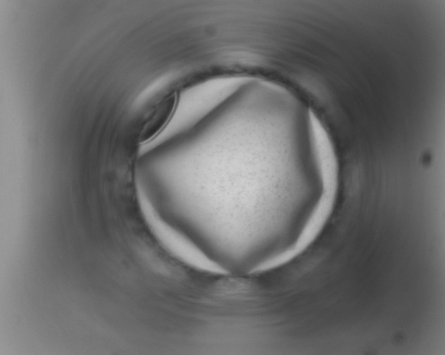 X0000113941112200910161908