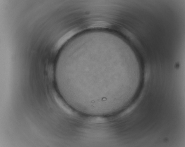 X0000113941113200910161908