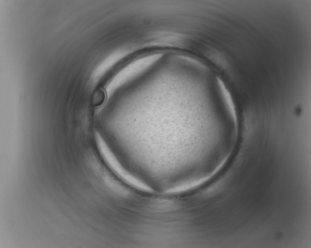 X0000113941114200910161908