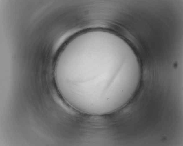 X0000113941116200910161908