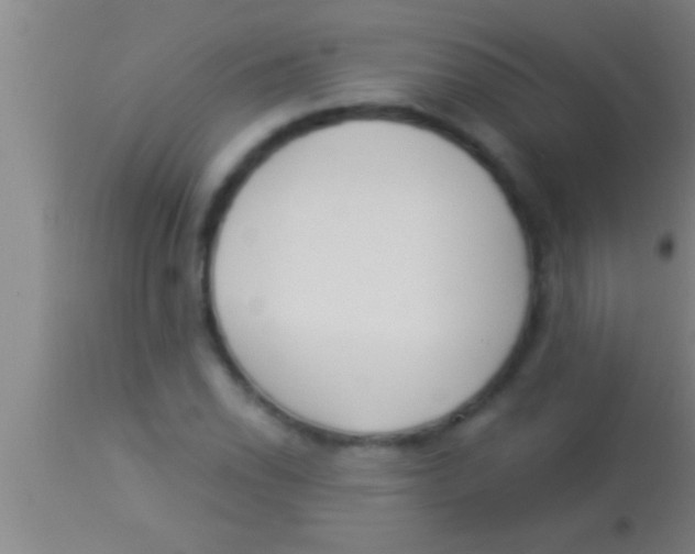 X0000113941118200910161908