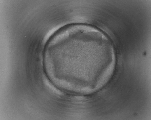 X0000113941120200910161908