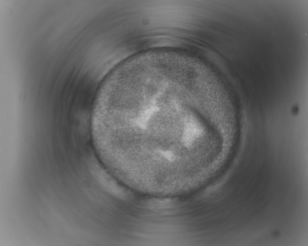X0000113941121200910161908