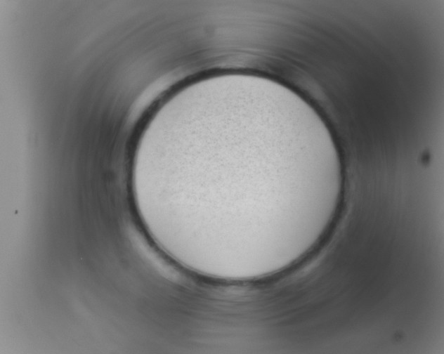 X0000113941122200910161908