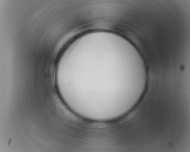 X0000113941123200910161908