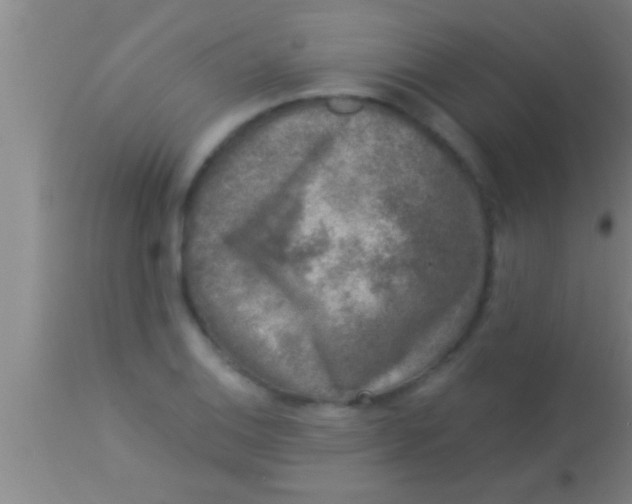 X0000113941124200910161908