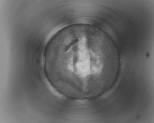 X0000113941125200910161908