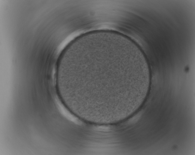 X0000113941126200910161909