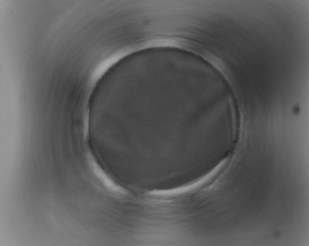 X0000113941127200910161909