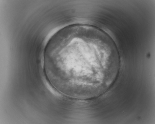 X0000113941128200910161909