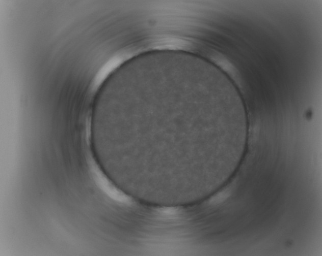 X0000113941130200910161909