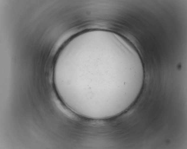 X0000113941131200910161909