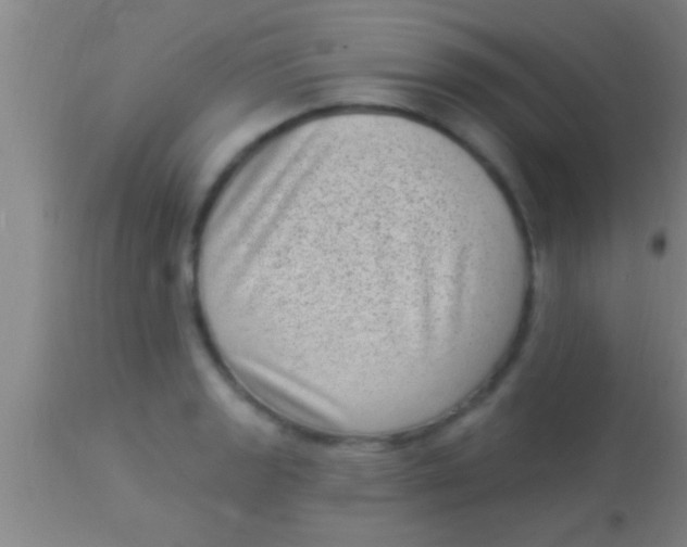 X0000113941133200910161909