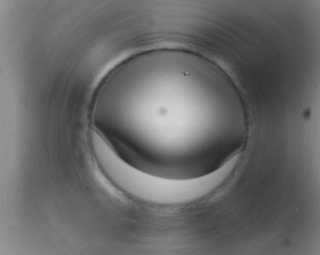 X0000113941134200910161909