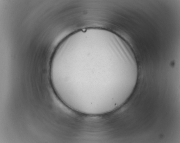X0000113941135200910161909