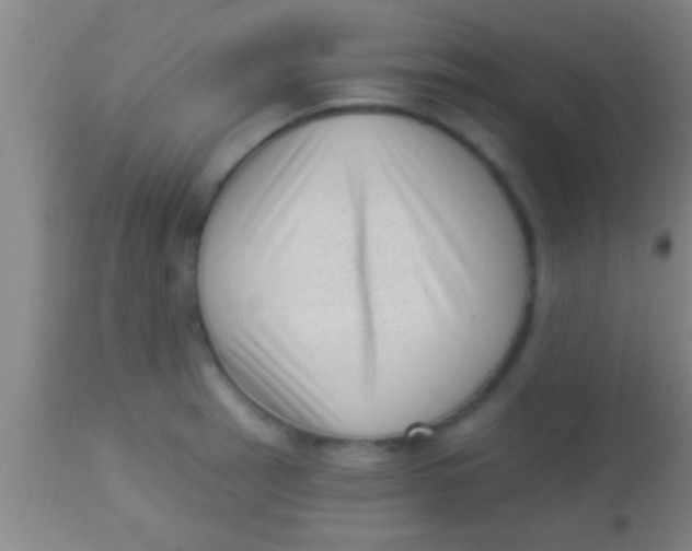 X0000113941137200910161909