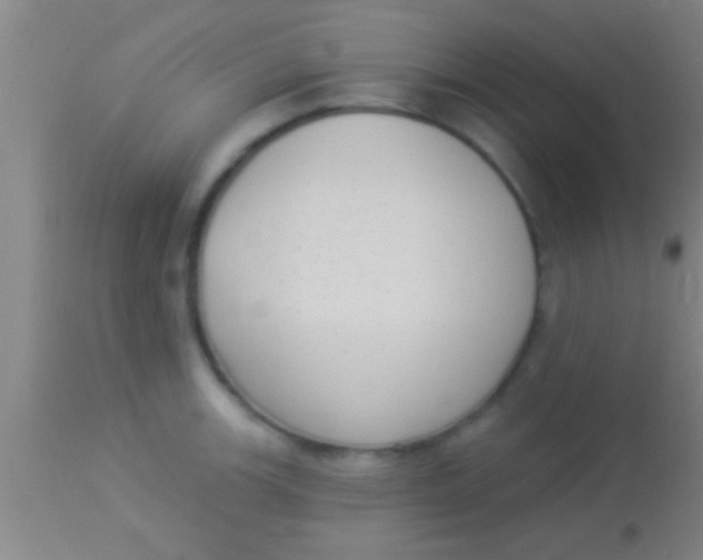 X0000113941139200910161909