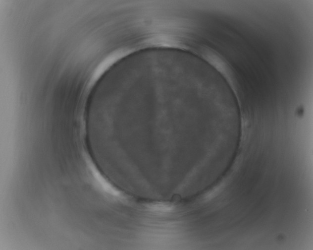 X0000113941141200910161909