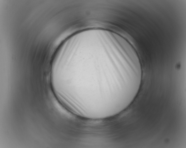 X0000113941143200910161909