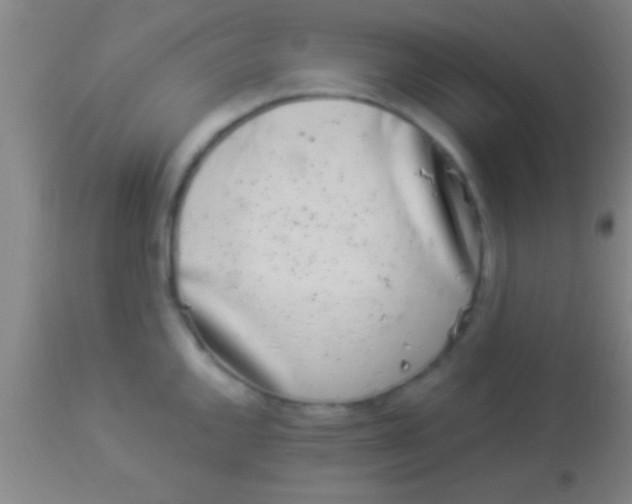 X0000113941144200910161909