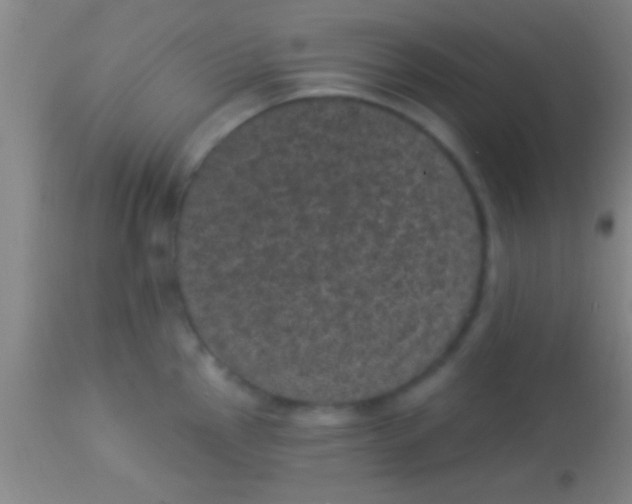 X0000113941145200910161909