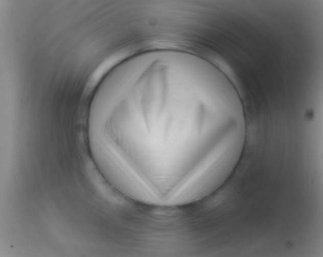 X0000113941146200910161909