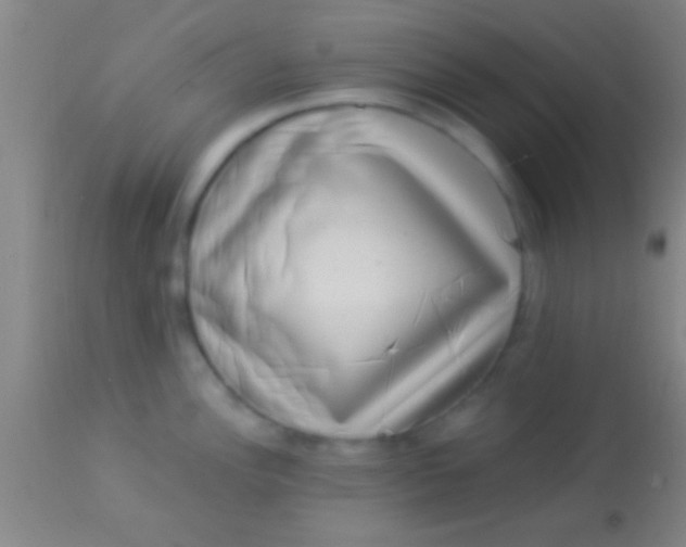 X0000113941148200910161909
