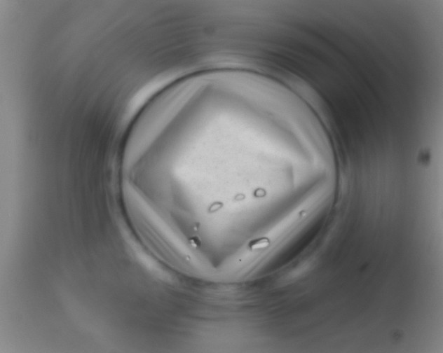 X0000113941149200910161909