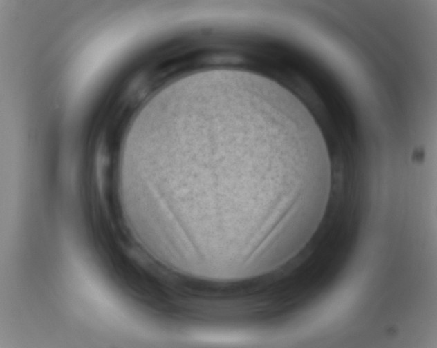 X0000113941151200910161909