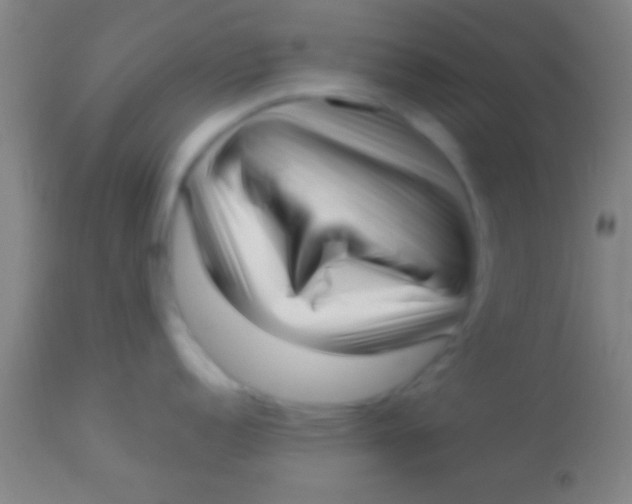 X0000113941152200910161909