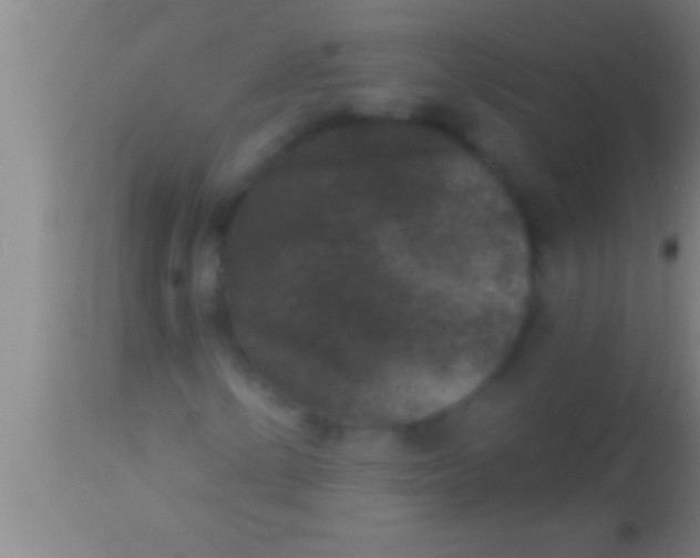 X0000113941154200910161908