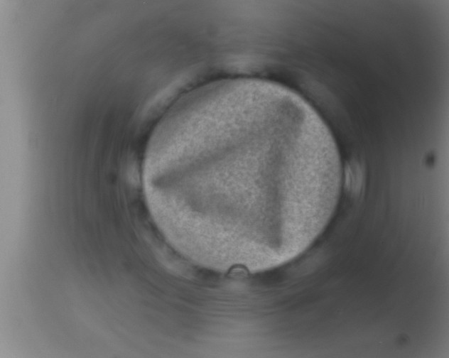 X0000113941155200910161908