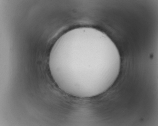 X0000113941157200910161908