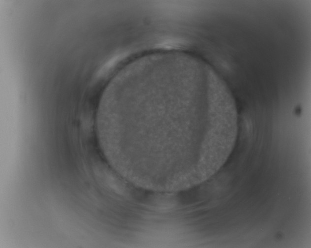 X0000113941158200910161908