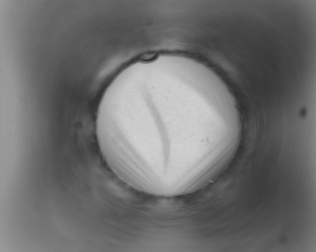 X0000113941160200910161908