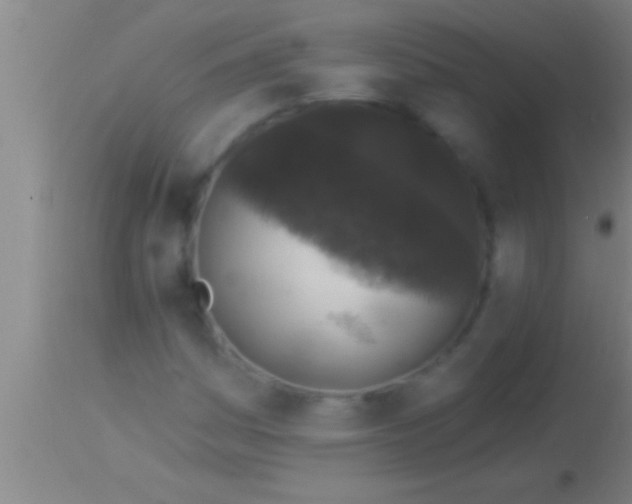X0000113941161200910161908
