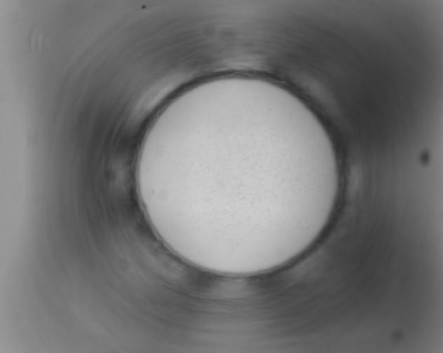 X0000113941162200910161908
