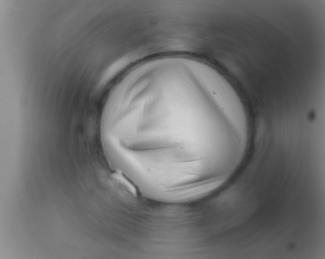 X0000113941163200910161908