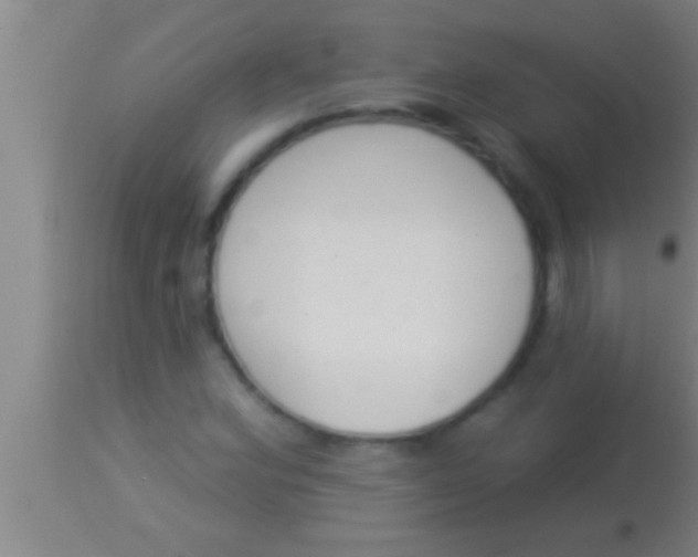 X0000113941164200910161908