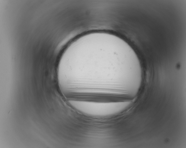X0000113941165200910161908