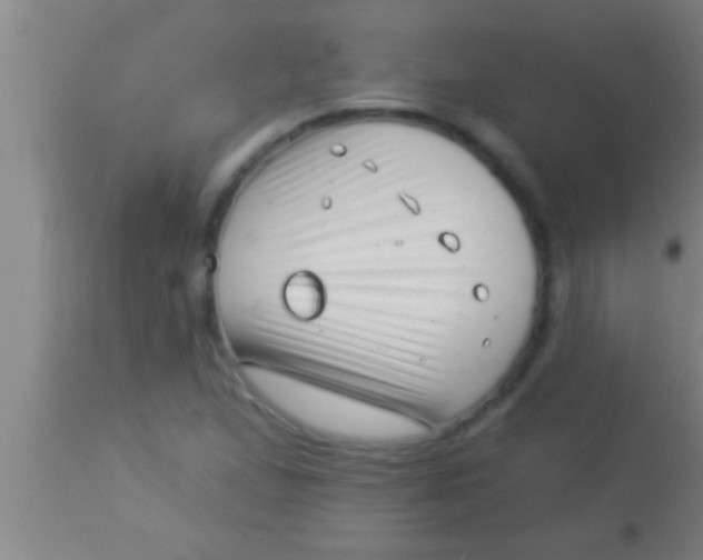 X0000113941167200910161908