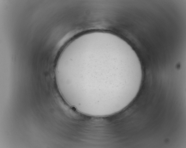 X0000113941168200910161908