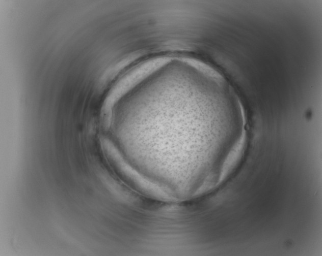 X0000113941169200910161908