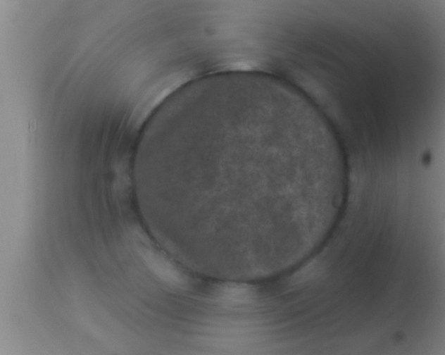 X0000113941170200910161908