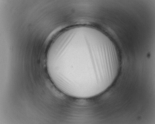 X0000113941172200910161908